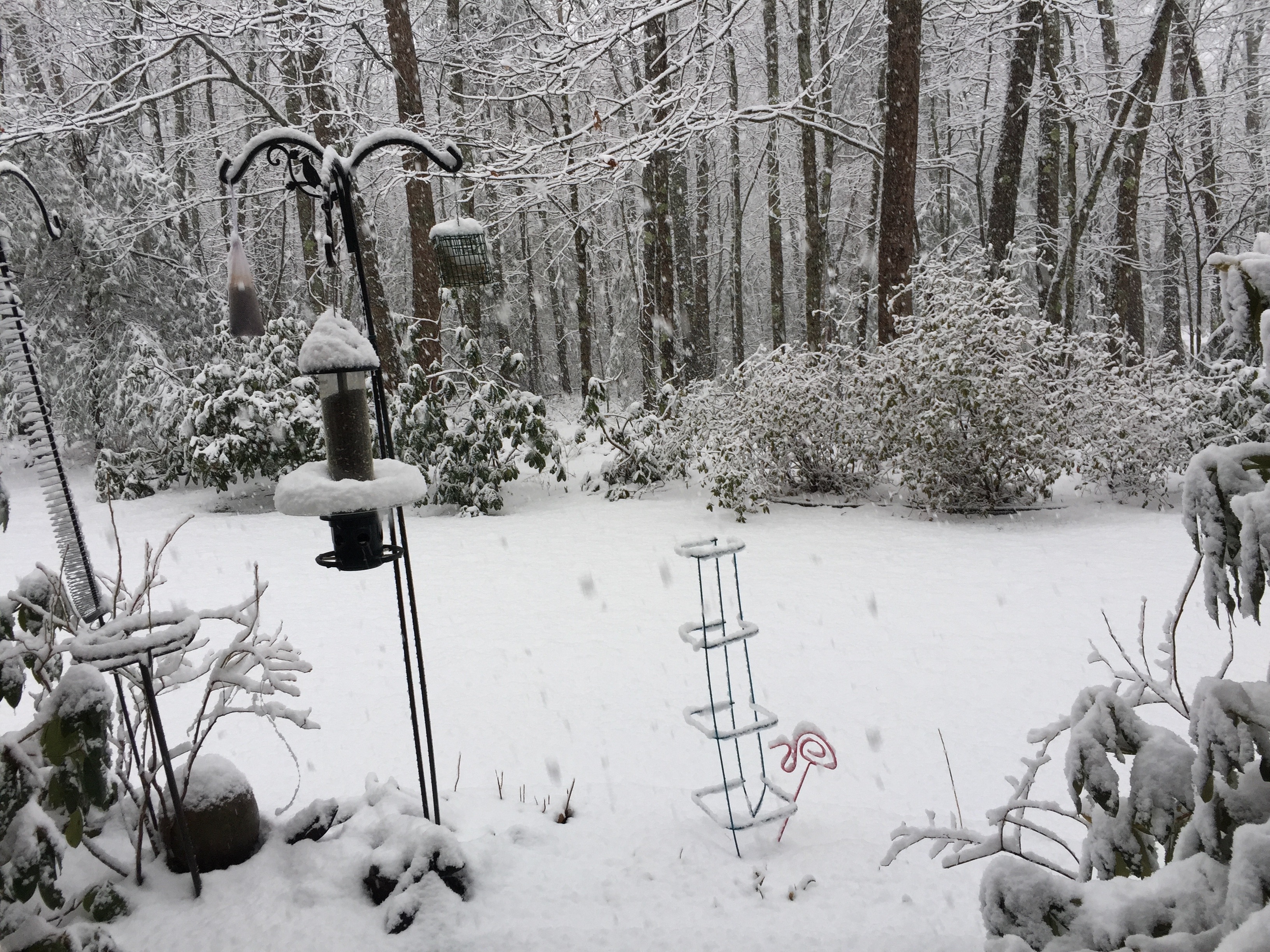 A snow-covered patio with brrd feeders showing about three inches of snow on the patio, feeders, and surrounding shrubs, as well as oak trees with bare limbs covered with snow